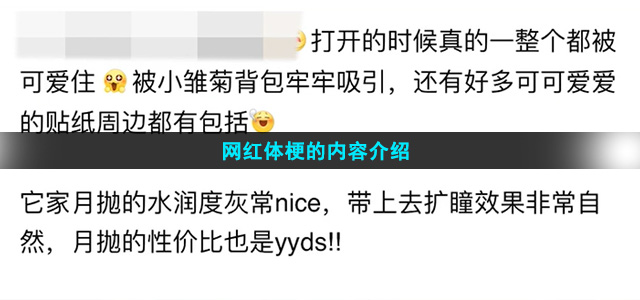 网红体梗的内容介绍