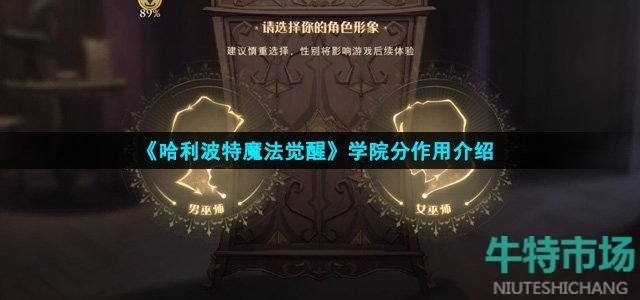 《哈利波特魔法觉醒》学院分作用介绍