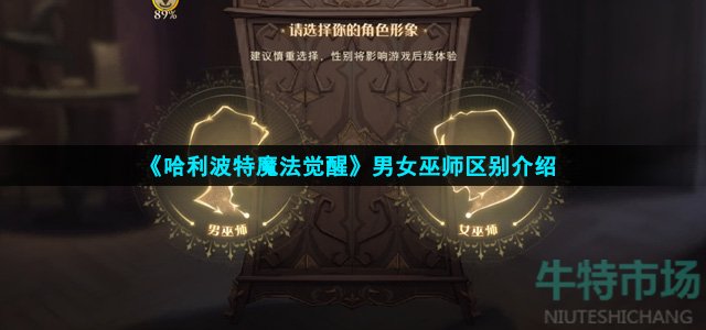 《哈利波特魔法觉醒》男女巫师区别介绍