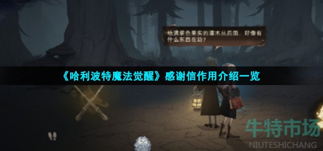 《哈利波特魔法觉醒》感谢信作用介绍一览