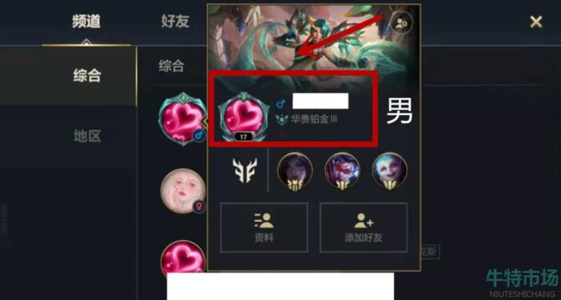 《英雄联盟手游》性别查看方法介绍