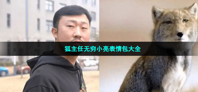 狐主任无穷小亮表情包大全