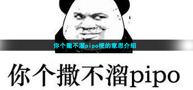 你个撒不溜pipo梗的意思介绍