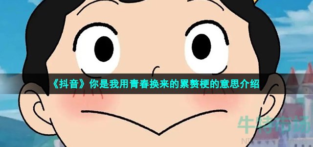 《抖音》你是我用青春换来的累赘梗的意思介绍