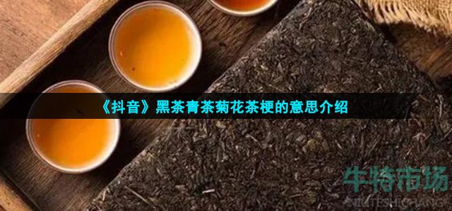 《抖音》黑茶青茶菊花茶梗的意思介绍