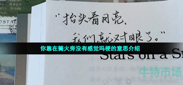 你靠在篝火旁没有感觉吗梗的意思介绍