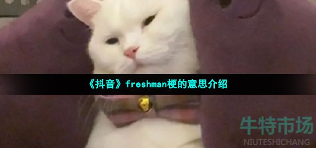 《抖音》freshman梗的意思介绍