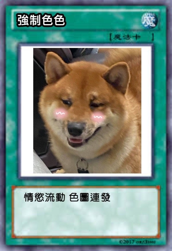 柴犬色色卡表情包大全