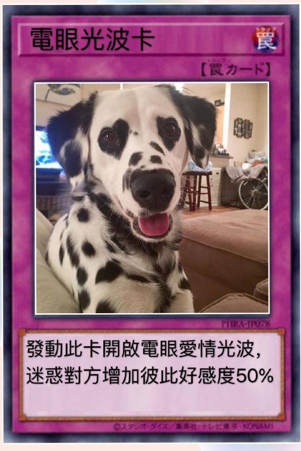 柴犬色色卡表情包大全