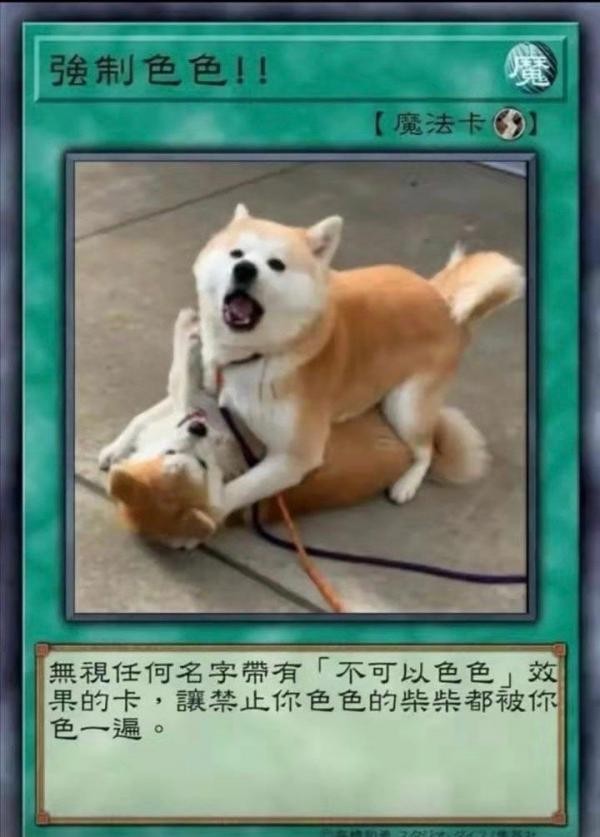 柴犬色色卡表情包大全