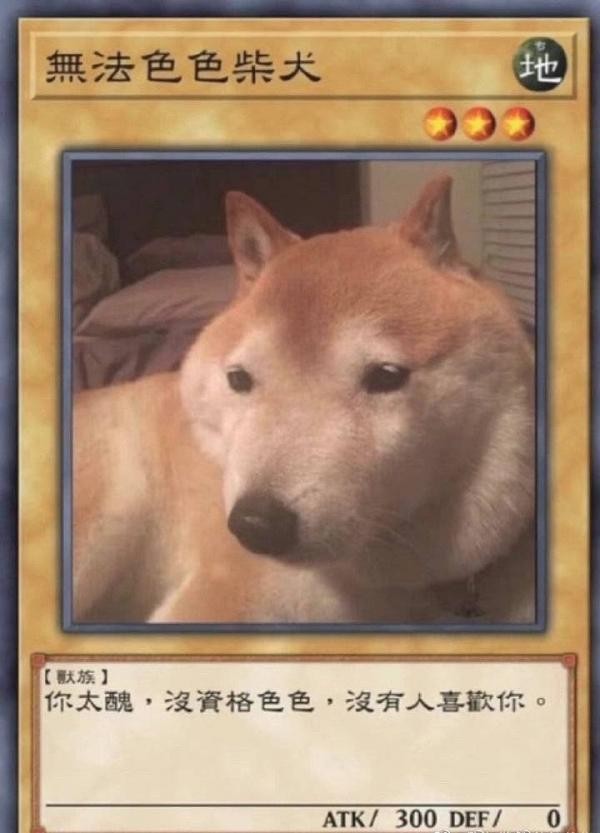 柴犬色色卡表情包大全