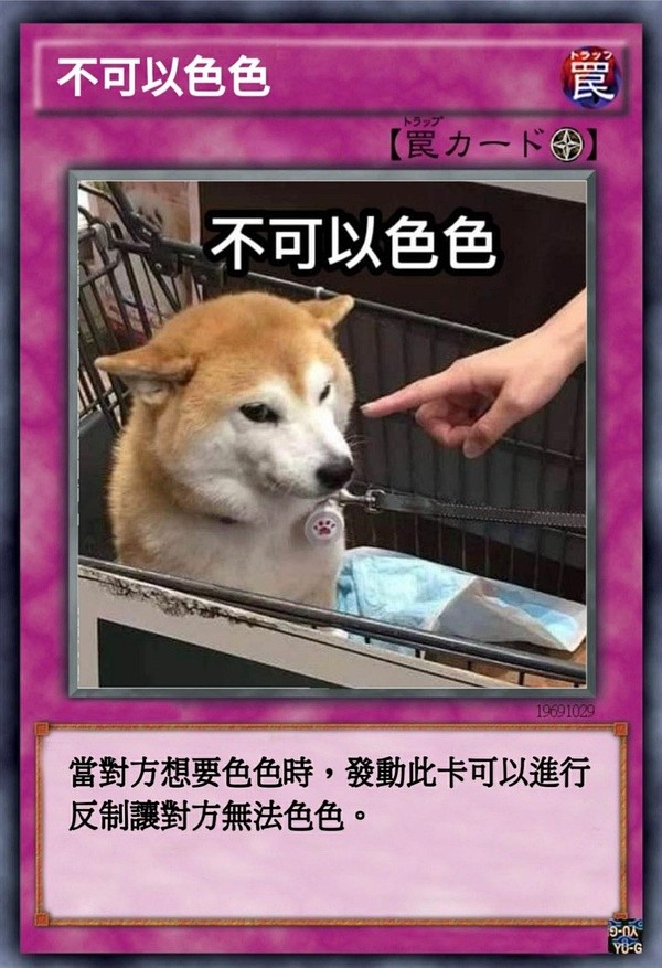 柴犬色色卡表情包大全