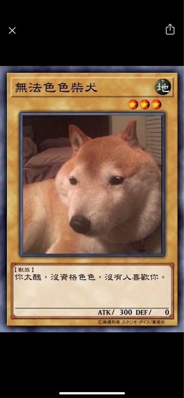 柴犬色色卡表情包大全