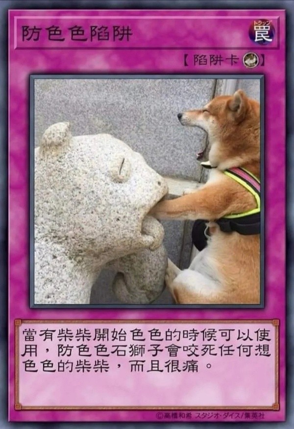 柴犬色色卡表情包大全