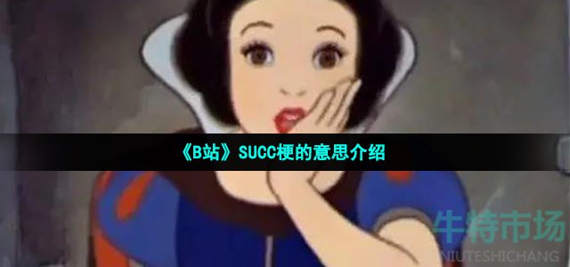 《B站》SUCC梗的意思介绍