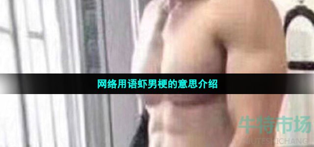 网络用语虾男梗的意思介绍