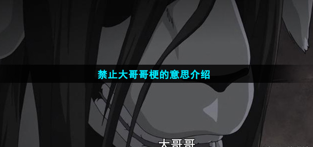 禁止大哥哥梗的意思介绍