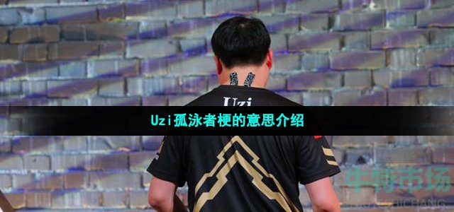 Uzi孤泳者梗的意思介绍