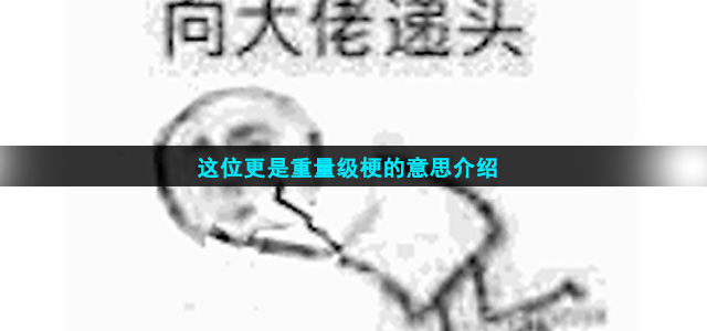 这位更是重量级梗的意思介绍