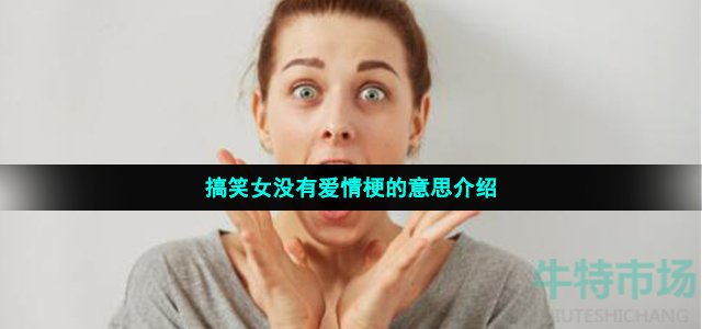 搞笑女没有爱情梗的意思介绍