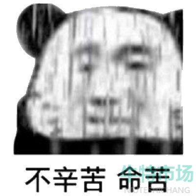 不辛苦命苦梗的意思介绍