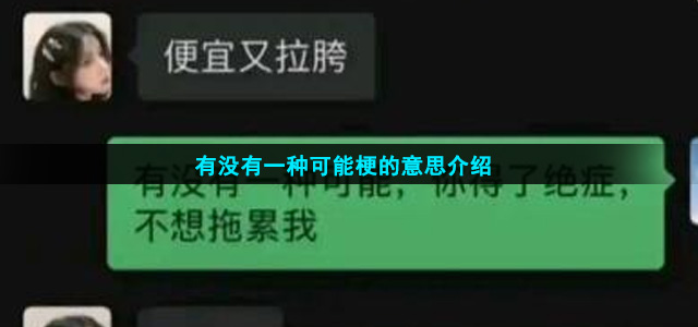 有没有一种可能梗的意思介绍