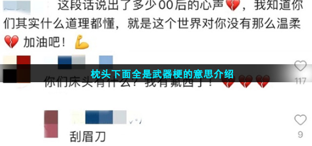 枕头下面全是武器梗的意思介绍