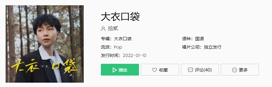 《抖音》大衣口袋歌曲介绍