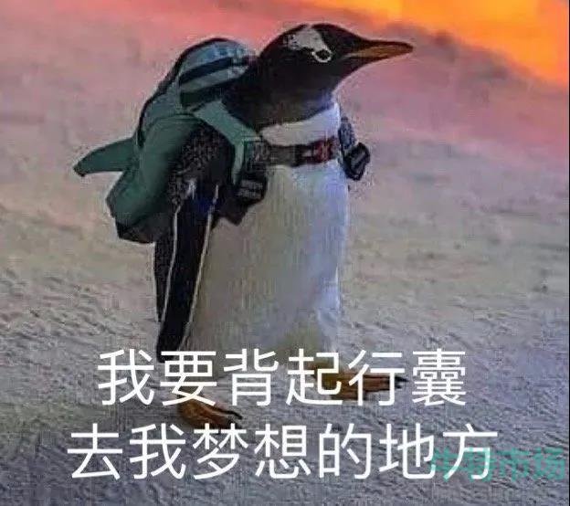 《抖音》沉浸式约饭梗的意思介绍