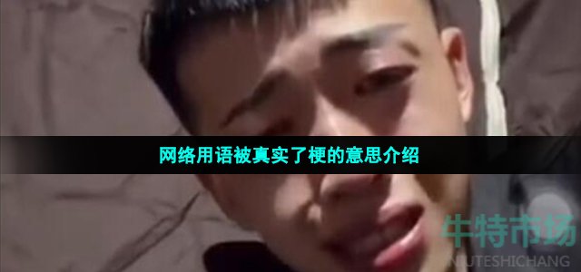 网络用语被真实了梗的意思介绍