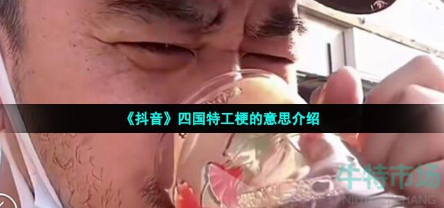 《抖音》四国特工梗的意思介绍