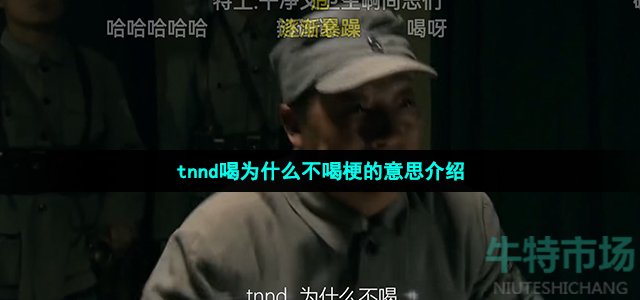 tnnd喝为什么不喝梗的意思介绍