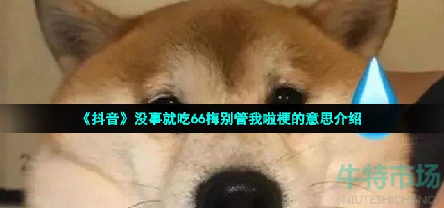 《抖音》没事就吃66梅别管我啦梗的意思介绍