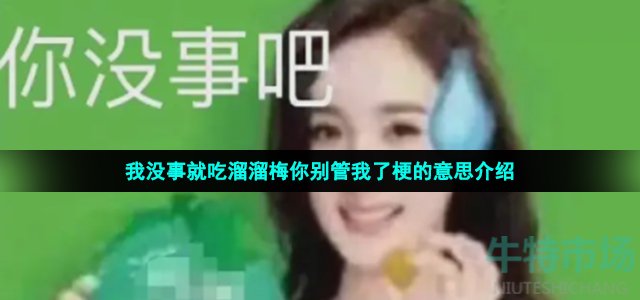 我没事就吃溜溜梅你别管我了梗的意思介绍