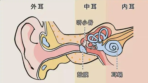 《支付宝》蚂蚁庄园2022年3月22日每日一题答案（2）