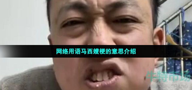 网络用语马西嫂梗的意思介绍