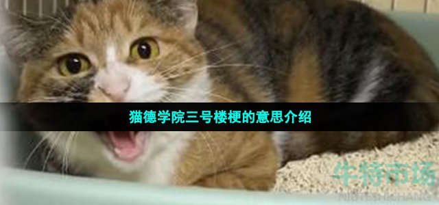 猫德学院三号楼梗的意思介绍