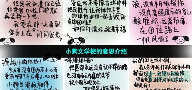 小狗文学梗的意思介绍