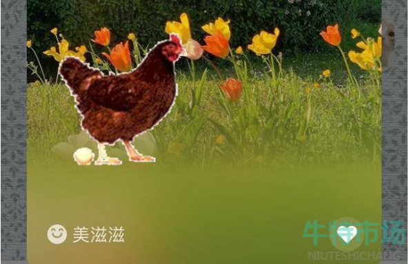 《微信》农场状态功能介绍