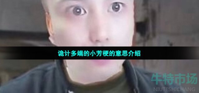 诡计多端的小芳梗的意思介绍