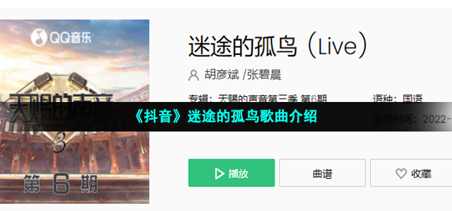 《抖音》迷途的孤鸟歌曲介绍