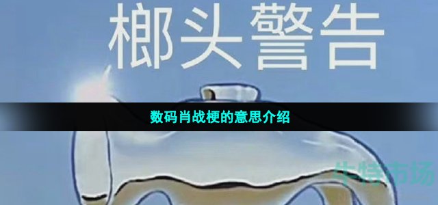 《哔哩哔哩》数码肖战梗的意思介绍