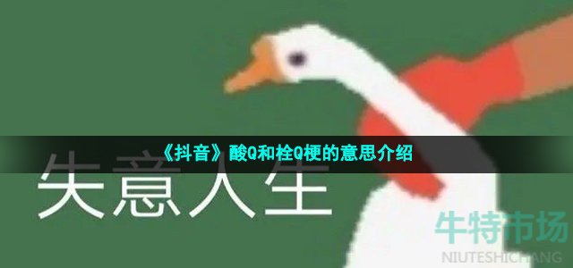 《抖音》酸Q和栓Q梗的意思介绍