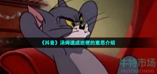 《抖音》汤姆速成班梗的意思介绍