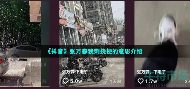 《抖音》张万森我刺挠梗的意思介绍