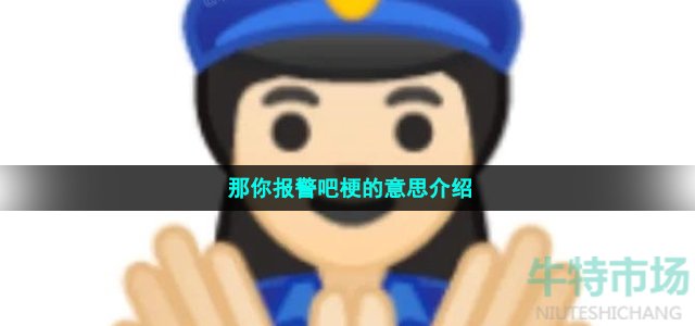 那你报警吧梗的意思介绍