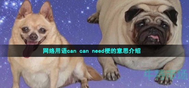 网络用语can can need梗的意思介绍