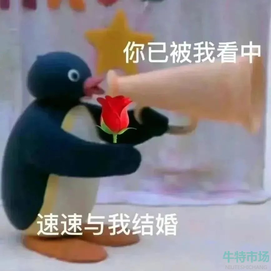 《抖音》别跟姐姐假惺惺文案大全