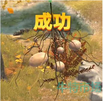 《夺笋高手》九转还魂芝获取攻略