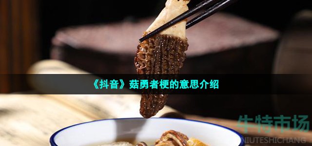 《抖音》菇勇者梗的意思介绍